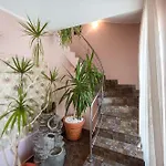 Guest house Complex Alutus -camere De Inchiriat 3*