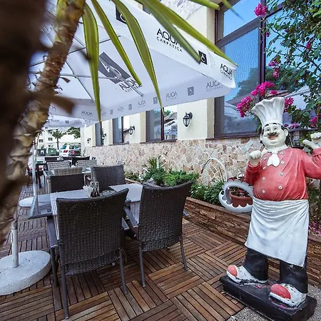 Гостевой дом Complex Alutus -camere De Inchiriat 3*