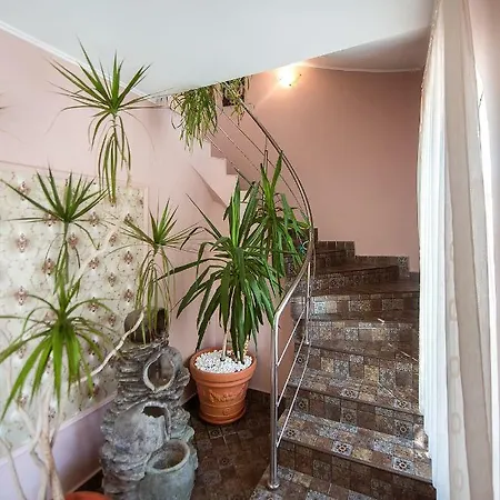 Guest house Complex Alutus -camere De Inchiriat 3*